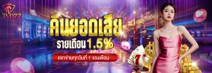 tmb77 ทางเข้า
